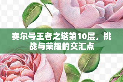 赛尔号王者之塔第10层图片