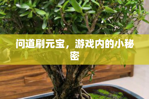 游戏内的小秘密图片