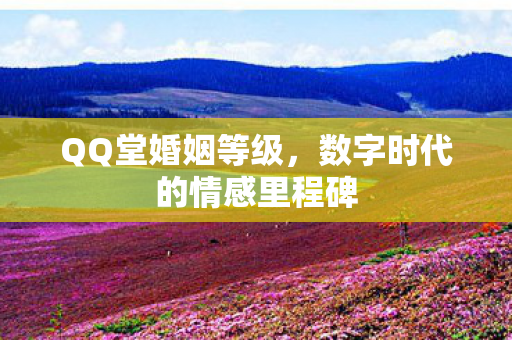 数字时代的情感里程碑图片