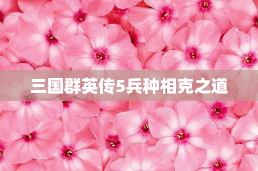 三国群英传5兵种相克之道图片