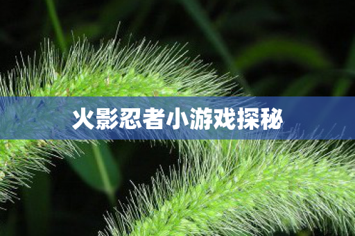 火影忍者小游戏探秘图片