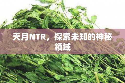 探索未知的神秘领域图片