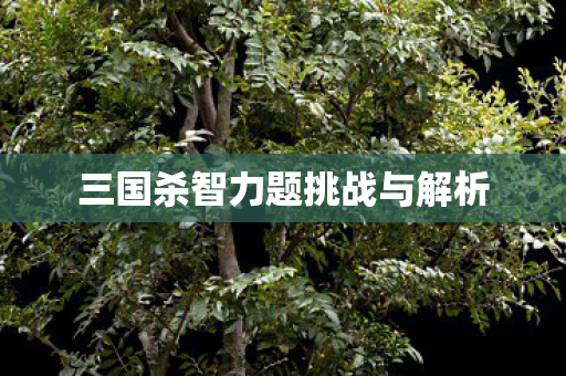 三国杀智力题挑战与解析图片