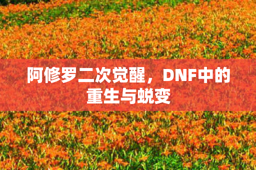 DNF中的重生与蜕变图片