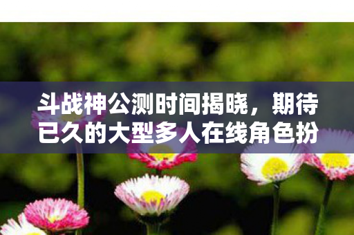 期待已久的大型多人在线角色扮演游戏斗战神即将开启公测图片