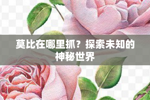 探索未知的神秘世界图片