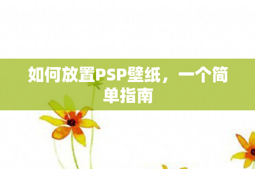如何放置PSP壁纸图片