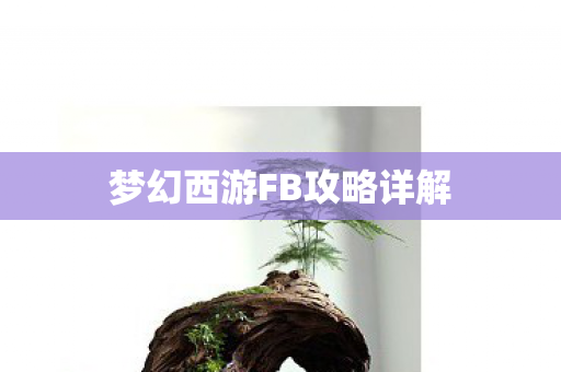 梦幻西游FB攻略详解图片