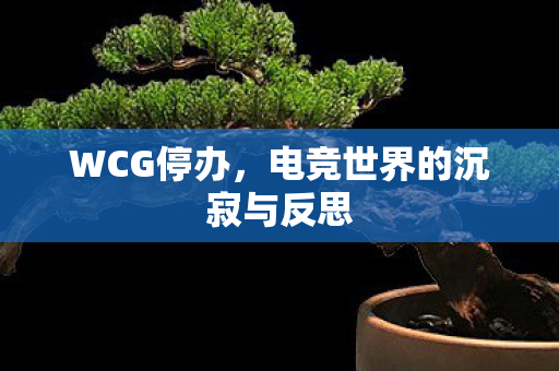 电竞世界的沉寂与反思图片