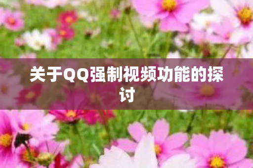 关于QQ强制视频功能的探讨图片