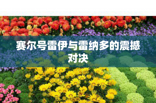 赛尔号雷伊与雷纳多的震撼对决图片