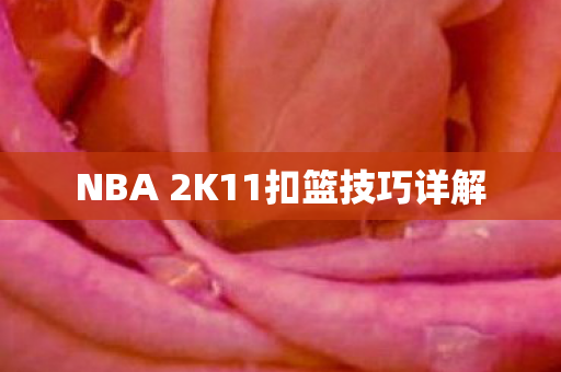 NBA 2K11扣篮技巧详解图片
