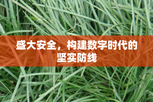 构建数字时代的坚实防线图片