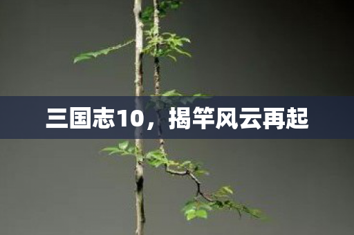 揭竿风云再起图片