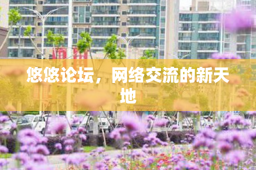 网络交流的新天地图片