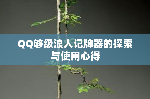 QQ够级浪人记牌器的探索与使用心得图片