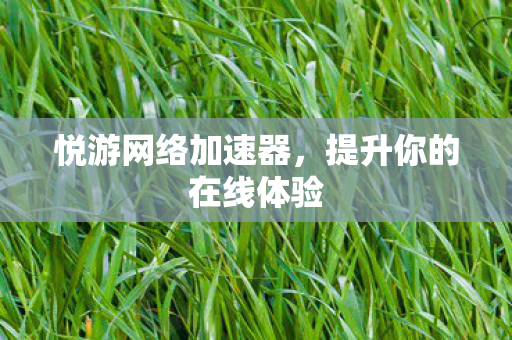 提升你的在线体验图片