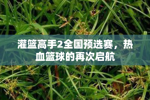 灌篮高手2全国预选赛图片