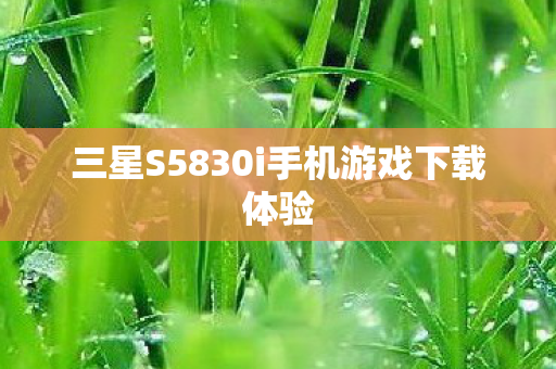 三星S5830i手机游戏下载体验图片