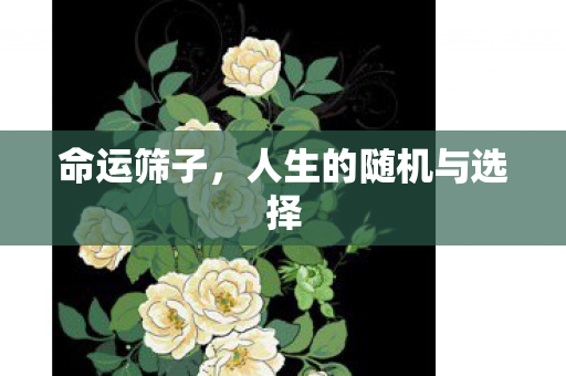 人生的随机与选择图片