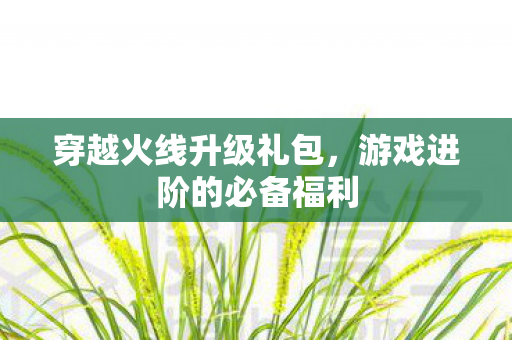 游戏进阶的必备福利图片