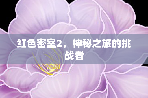 神秘之旅的挑战者图片