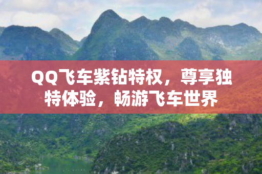 QQ飞车紫钻特权图片