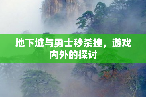 地下城与勇士秒杀挂图片