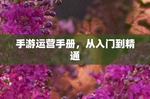 手游运营手册图片