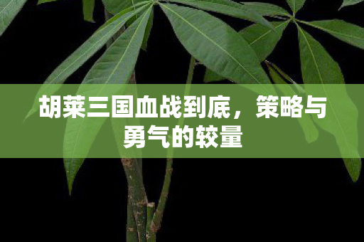 胡莱三国血战到底图片