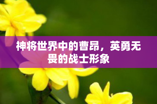英勇无畏的战士形象图片