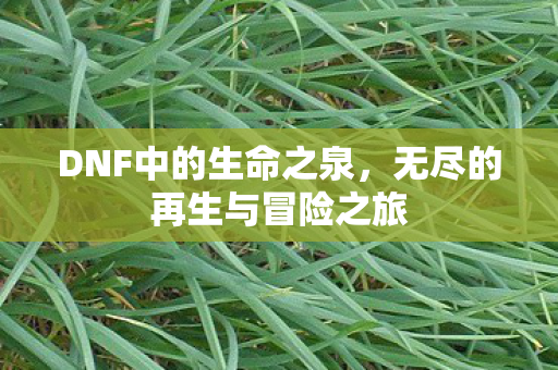 无尽的再生与冒险之旅图片