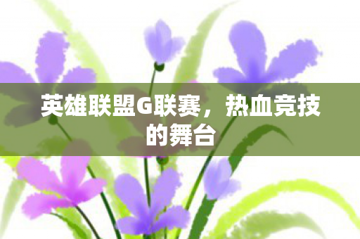 英雄联盟G联赛图片