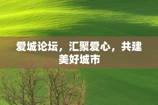 共建美好城市图片