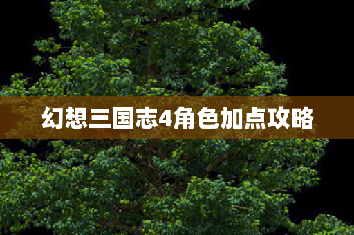 幻想三国志4角色加点攻略图片