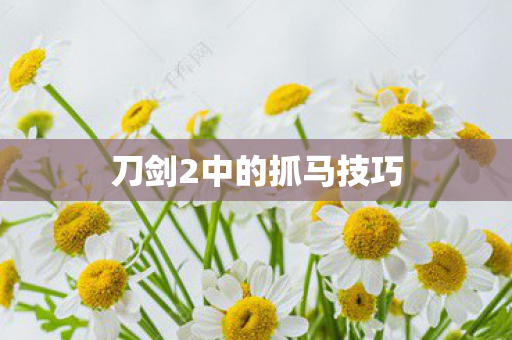刀剑2中的抓马技巧图片