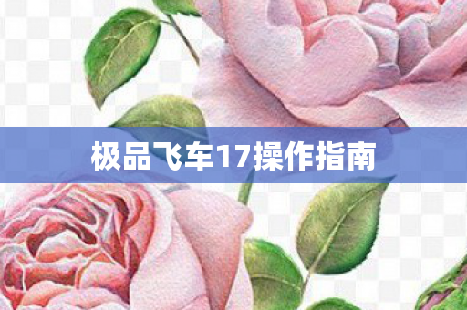 极品飞车17操作指南图片
