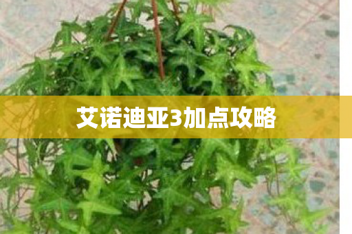 艾诺迪亚3加点攻略图片