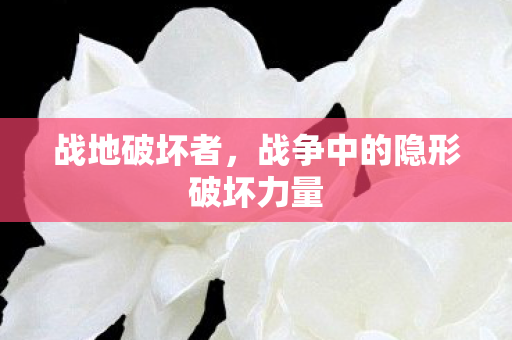 战争中的隐形破坏力量图片