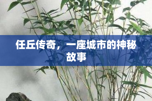 一座城市的神秘故事图片