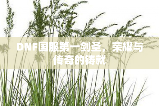 DNF国服第一剑圣图片