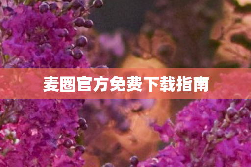 麦圈官方免费下载指南图片