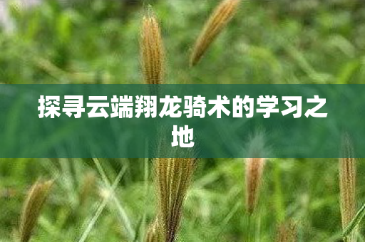 探寻云端翔龙骑术的学习之地图片