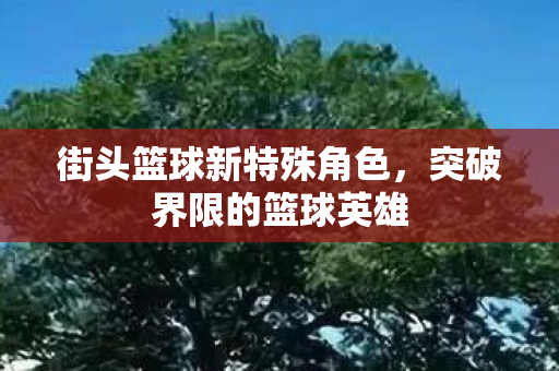 街头篮球新特殊角色图片