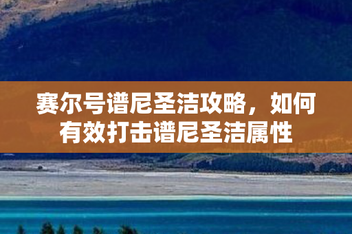 如何有效打击谱尼圣洁属性图片