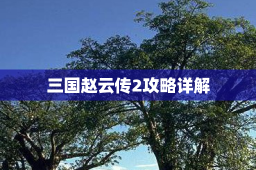 三国赵云传2攻略详解图片