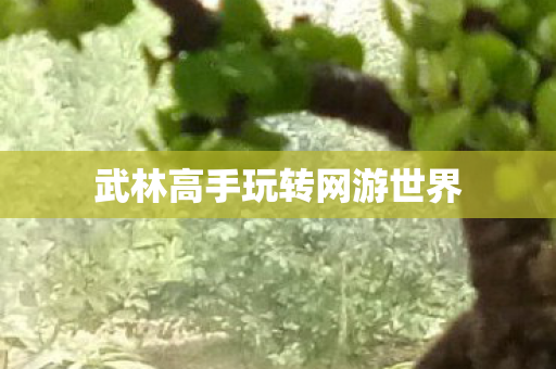 武林高手玩转网游世界图片