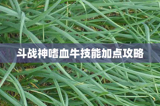 斗战神嗜血牛技能加点攻略图片