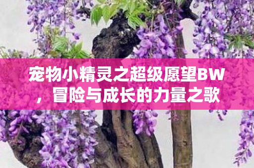宠物小精灵之超级愿望BW图片