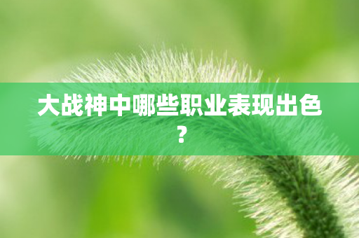 大战神中哪些职业表现出色图片